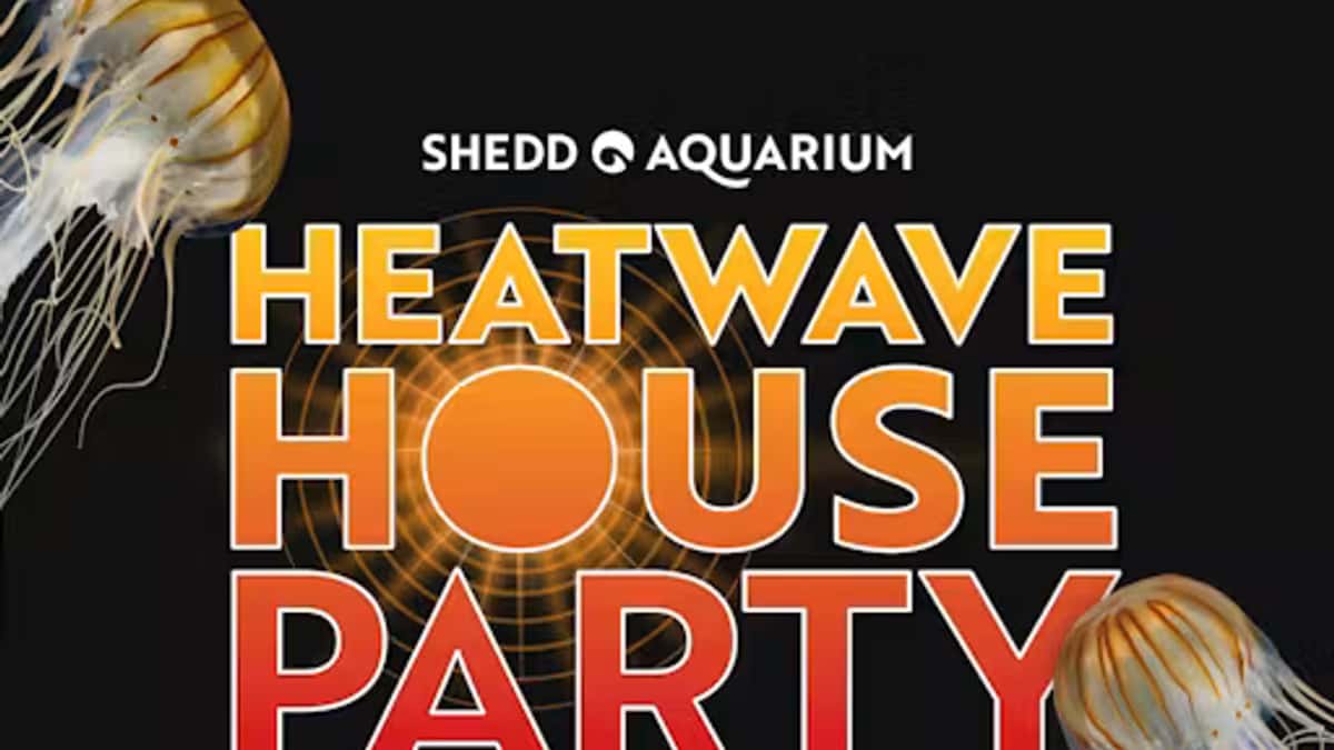 Heatwave House Party at Shedd Aquarium