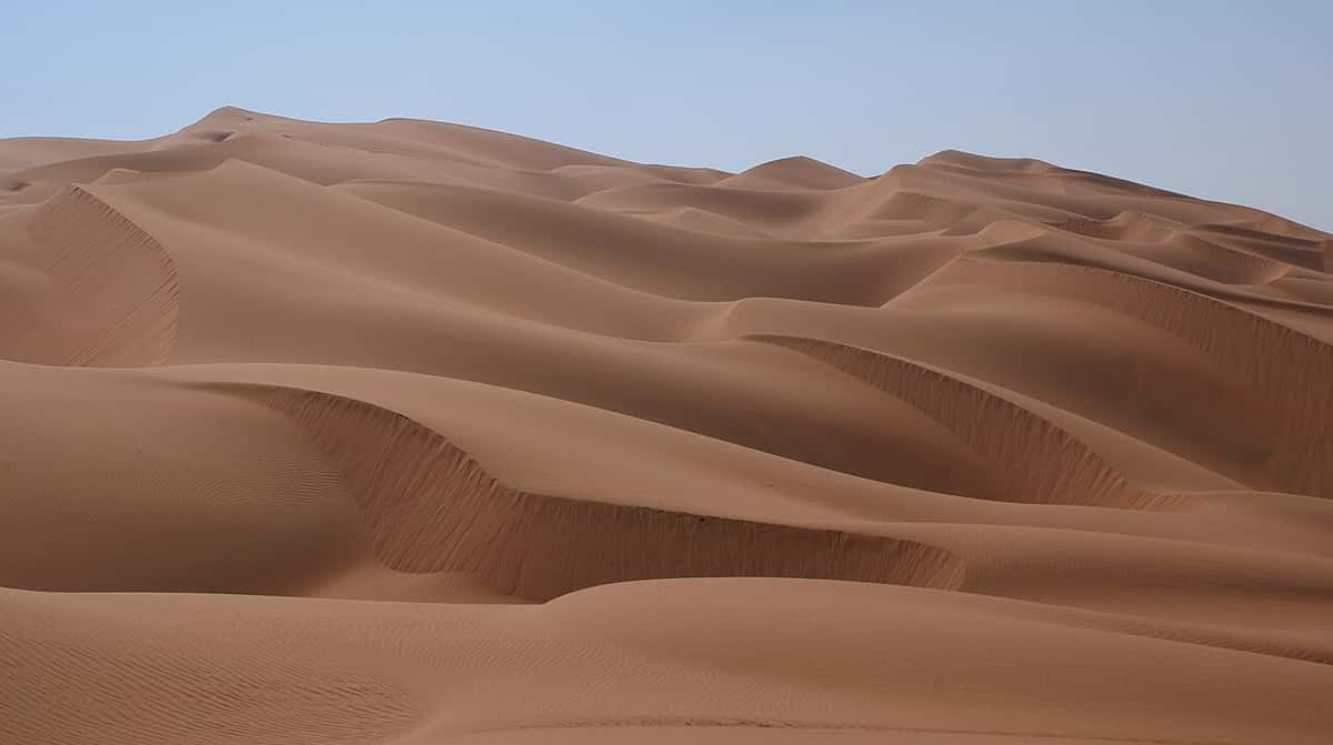 Desert Hawk