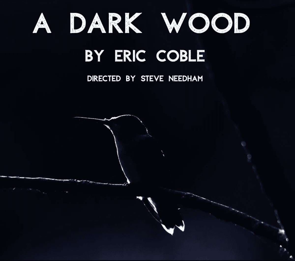Tin Drum Theatre Company Presents the Chicago Premiere, “A Dark Wood”