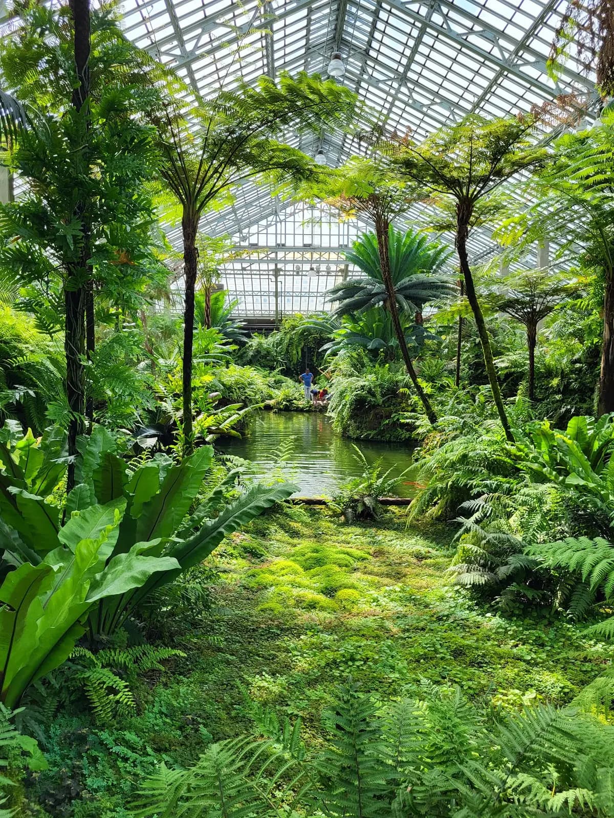 Garfield Park Conservatory & Gardens 2