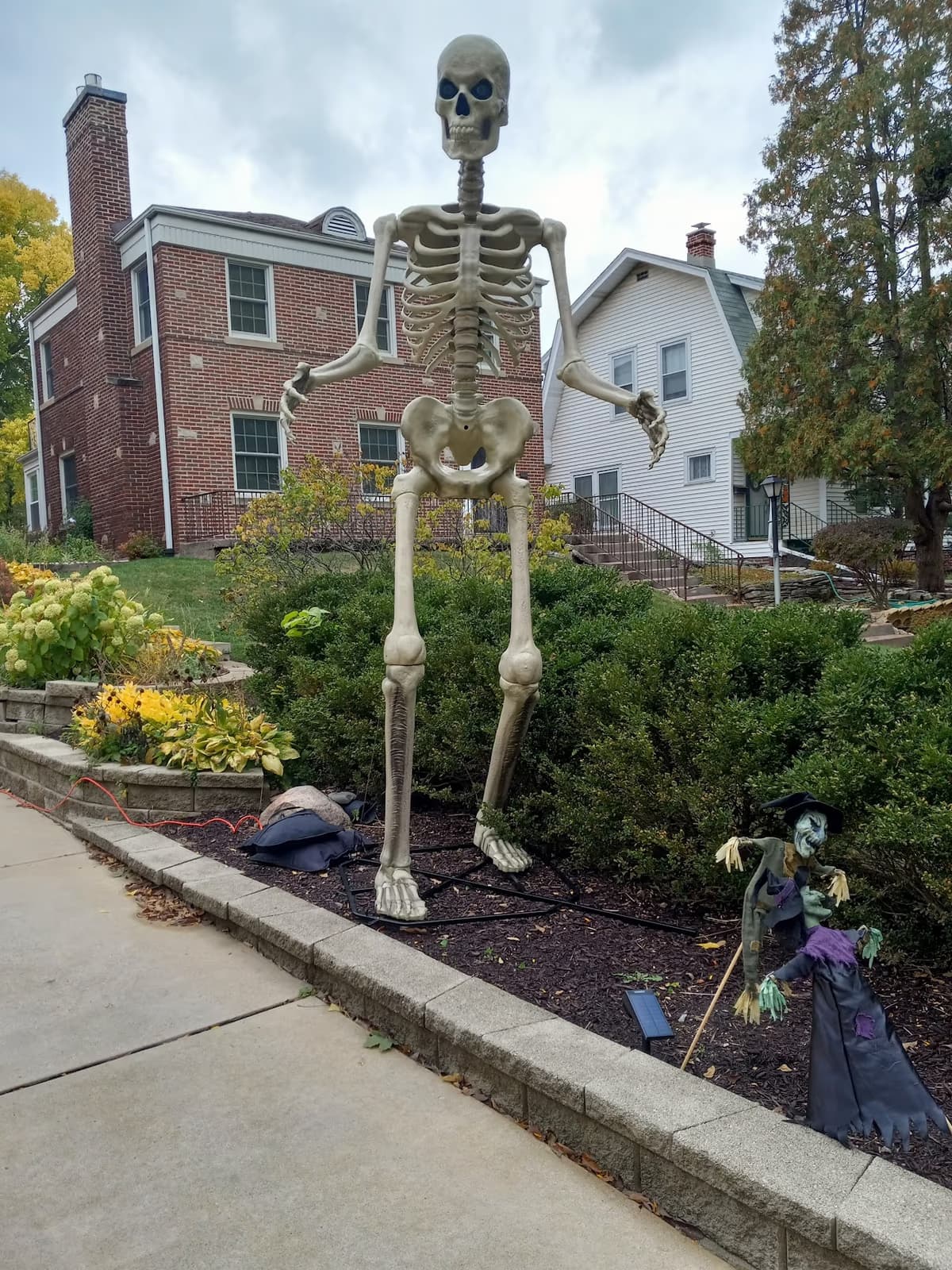 Norwood Park 1