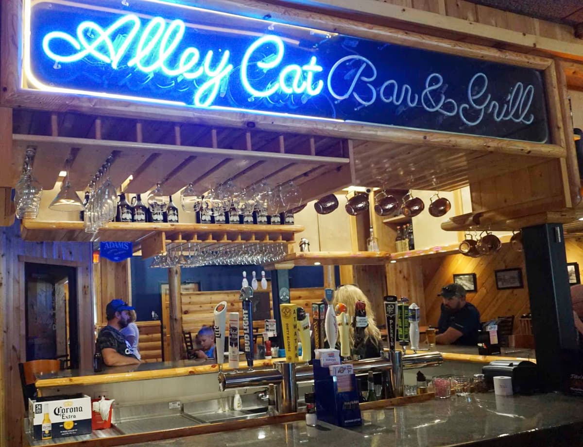 The Alley Cat 1