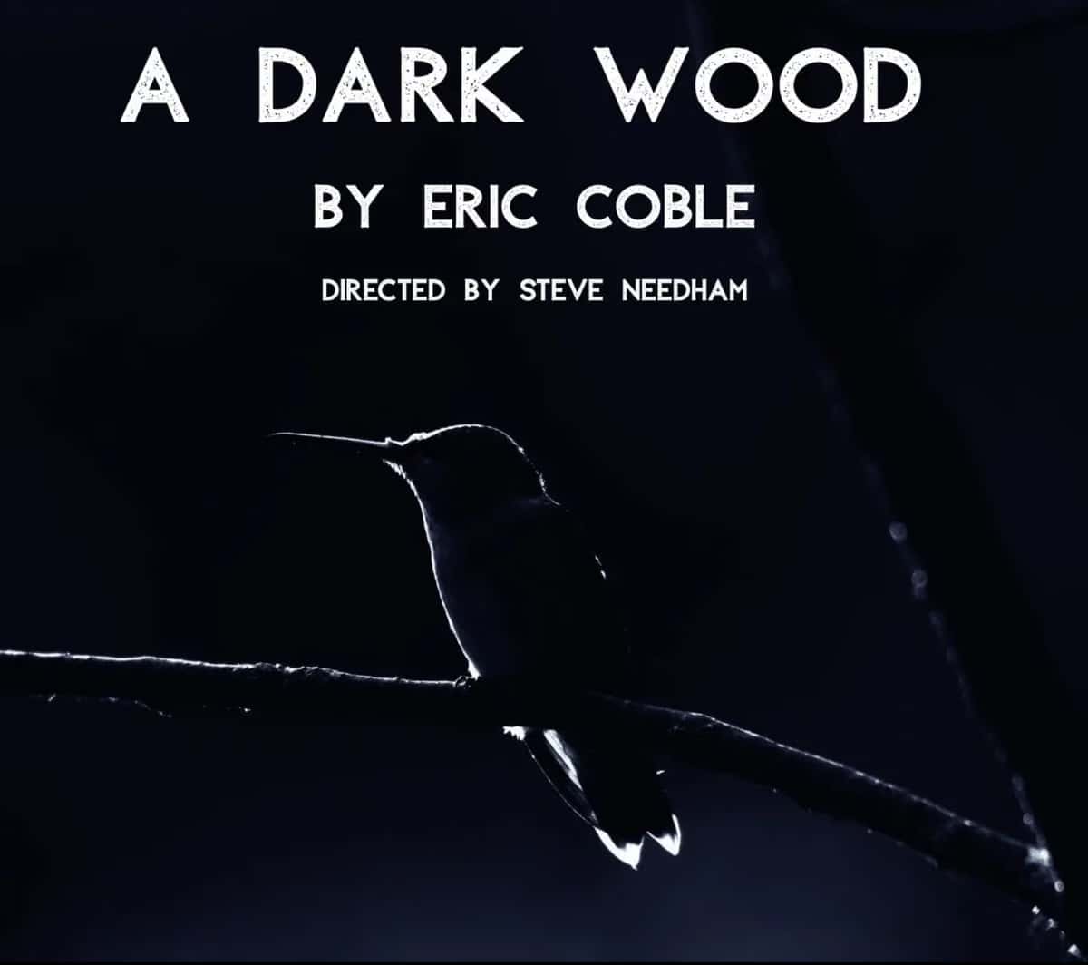 Tin Drum Theatre Company Presents the Chicago Premiere, “A Dark Wood”