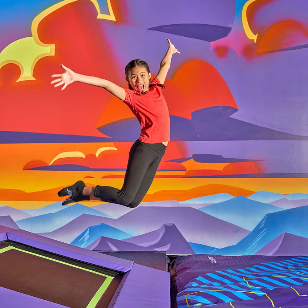 Altitude Chicago Trampoline Park (West Town Location)