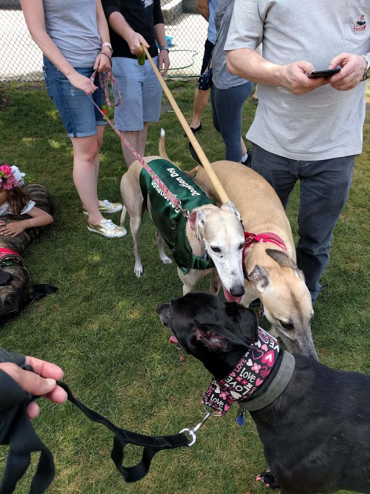 Bucktown Garden Walk and Block Party