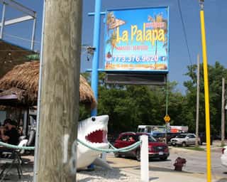 La Palapa
